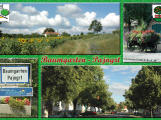 Postkarte Baumgarten